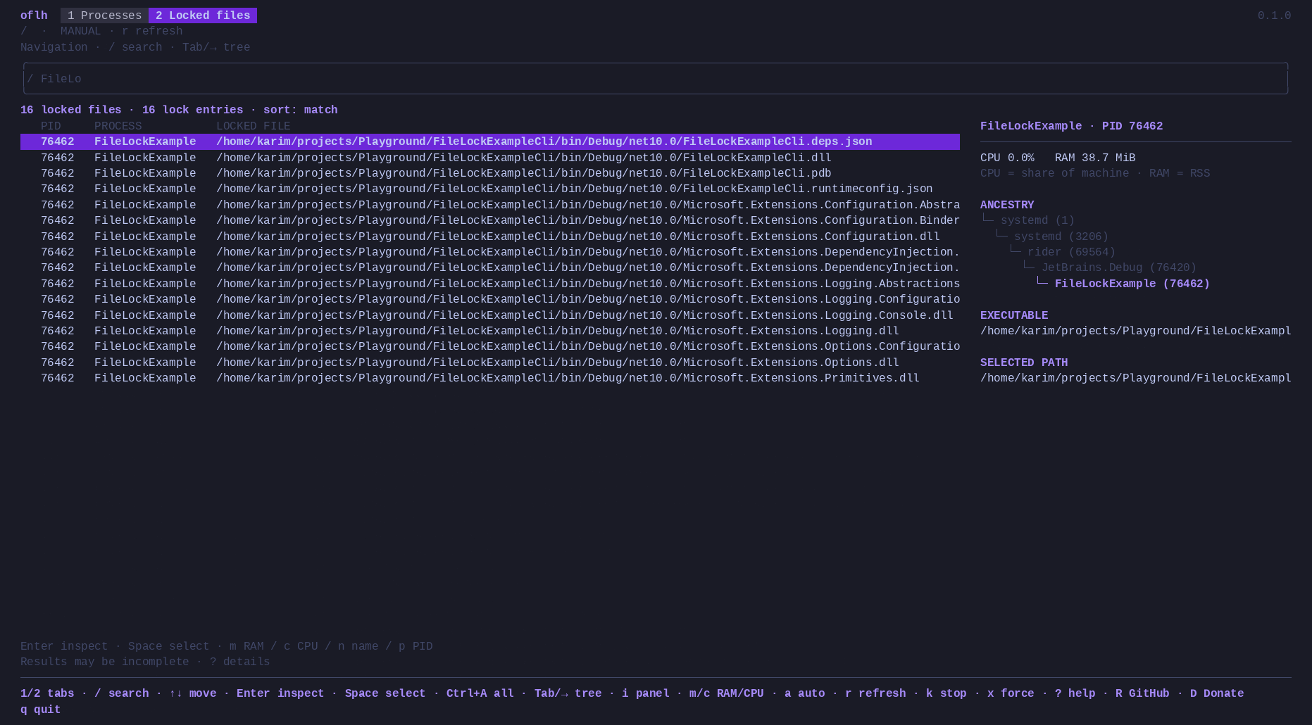 oflh terminal app showing locked files and the parent process tree
